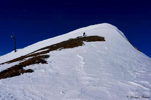 Climbing the South Flank to the summit of Visnitzkopf