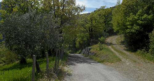 Country Road (in vicinity of the location 
