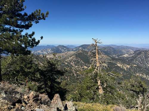 San Gabriel Mountains from Throop Peak