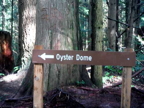 Sign to Oyster Dome