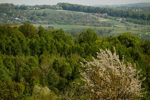 Borek Stary hills