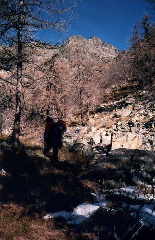North Valley Towards Western Tsaat a l'Etsena 1985
