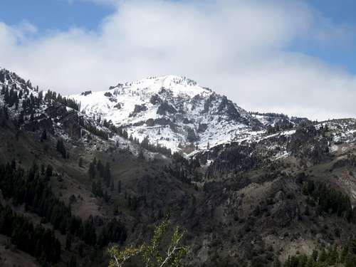 View to Cedar Mountain 8,140'