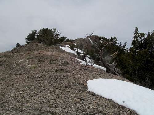 becky summit ridge