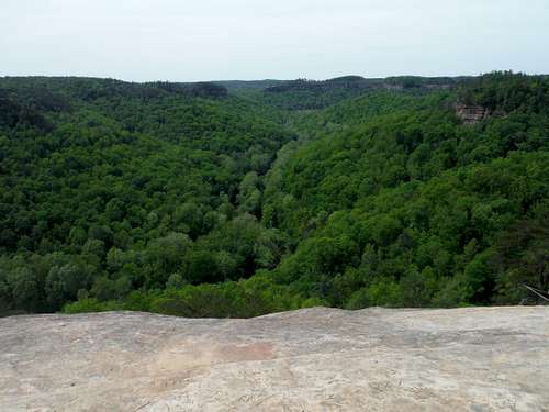 View from Cloud Splitter over Red River Gorge