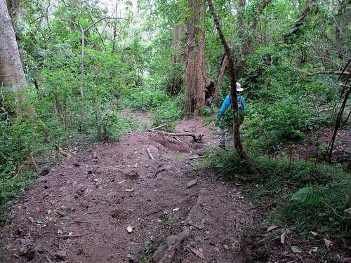 Mt. Agung crossover trail dirt section