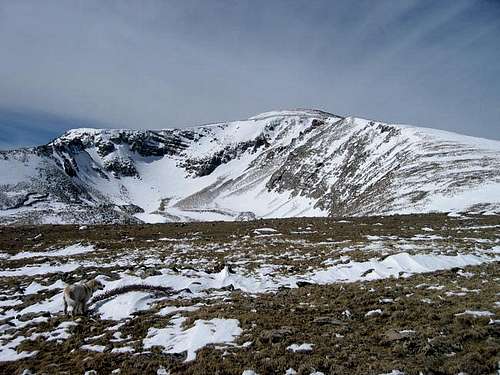 Mount Adubon's east slopes on...