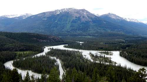 Whistlers Peak and Athabasca River from Old Fort Point