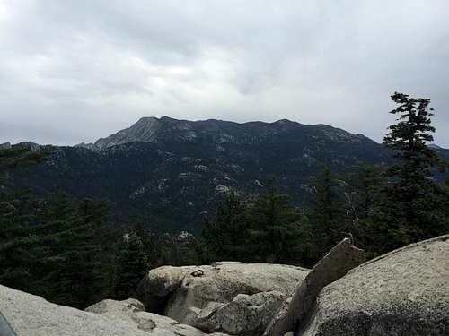 San Jacinto Peak from Black Mountain Lookout