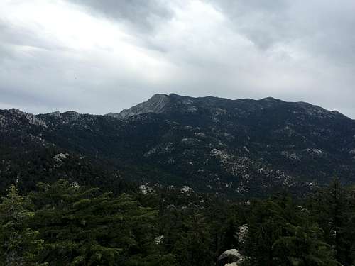 Black Mountain Hike (San Jacinto Mountains)