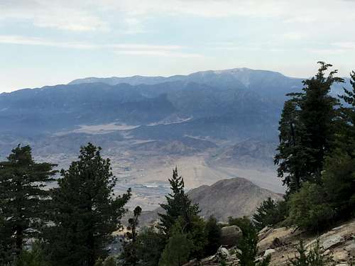 San Bernardino Mountains from Black Mountain