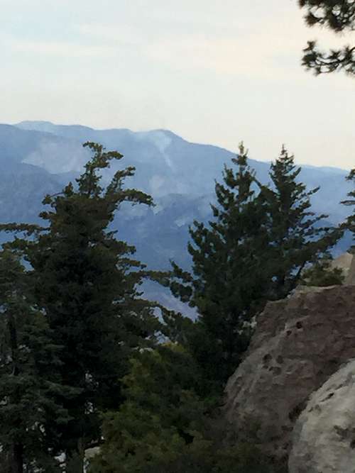 Black Mountain Hike (San Jacinto Mountains) : Trip Reports
