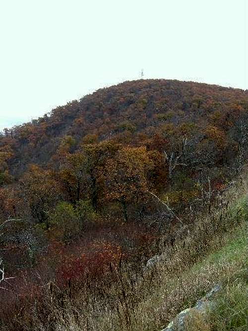 The summit of Hogback with...