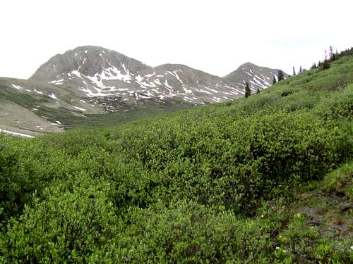 From trail in South Fork of Lake Creek