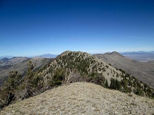 Snow Creek Peak 10459 (NV)