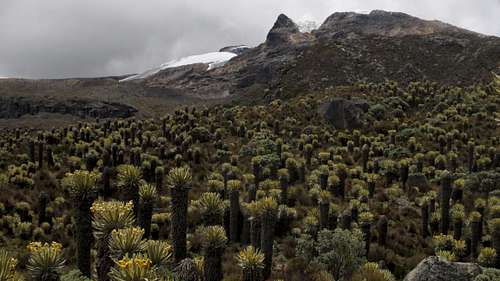 The fading glacier of Santa Isabel