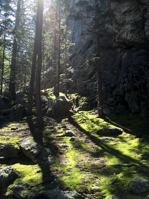 Harney Peak Trail #9