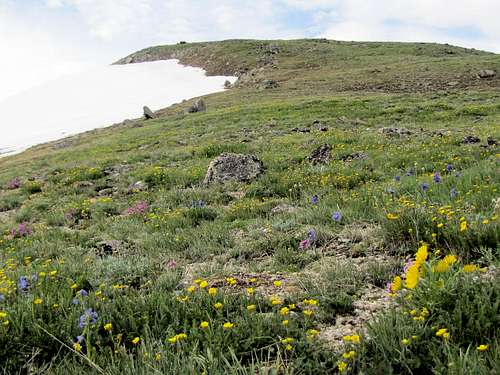 Grassy northern slopes of Peak 12955 ft