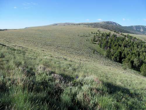 the vast plateau south of Scott Peak