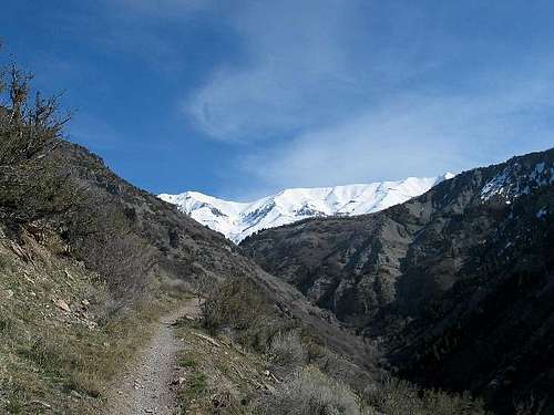 Grove Creek Canyon is one of...