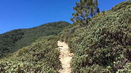 Santiago Peak Hike