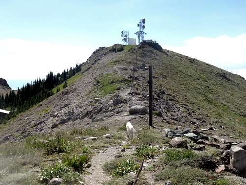 Approaching the Ward Peak summit towers