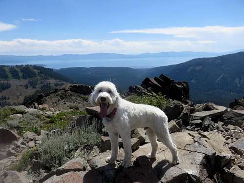 Lake Tahoe from the summit of Ward Peak