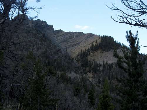 Cliffs above trees