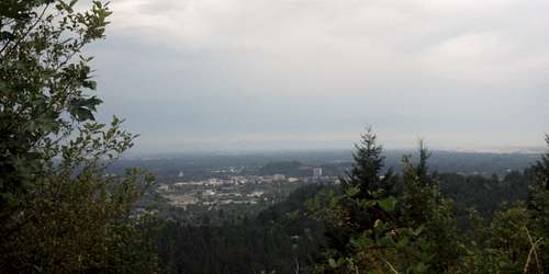 Downtown Eugene from the viewpoint