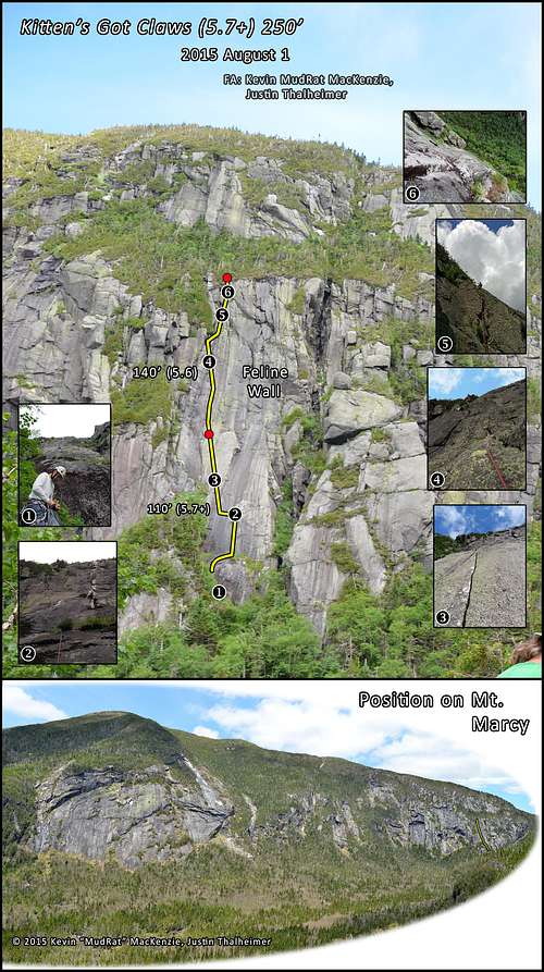 Panther Gorge-A New Marcy Route (Kitten's Got Claws) 2015  August 1