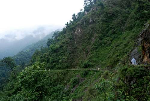 Manasi on trail