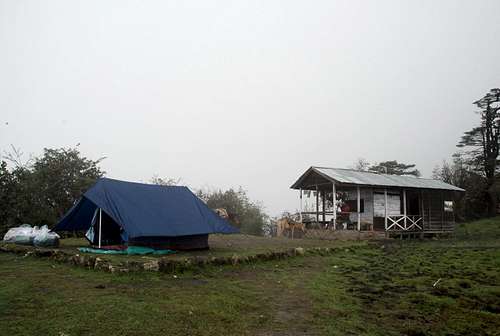Campsite and Trekker's hut - Phedang