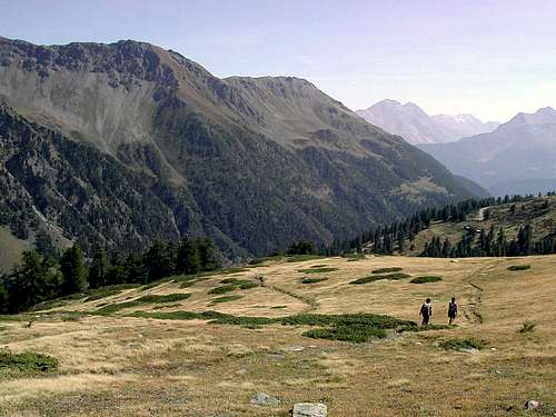 Crossing the vast meadows of  vallone di Vertosan...