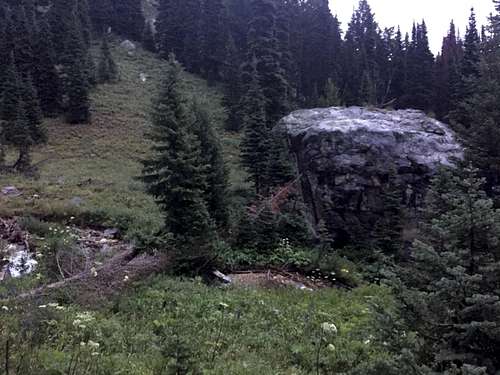 A Foolish Ascent of Buck Mountain