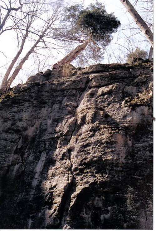 Clifton Gorge