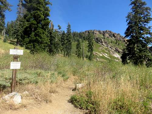 Mount Elwell trail junction