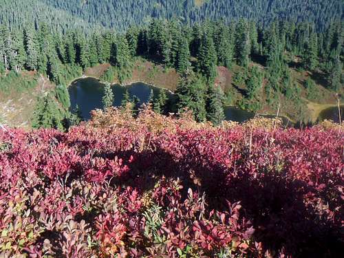 Joan Lake and fall color