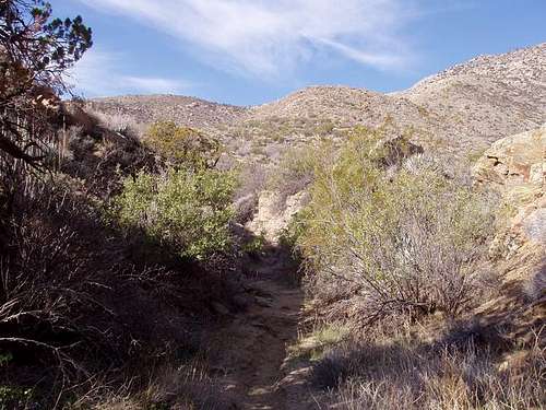 Looking down the use trail...
