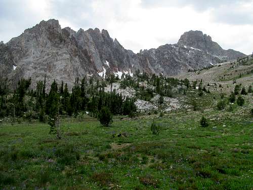 Thompson Peak & Blue Wildflowers