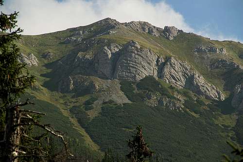 Mt.Bujaci vrch
