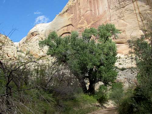 Upper Canyon