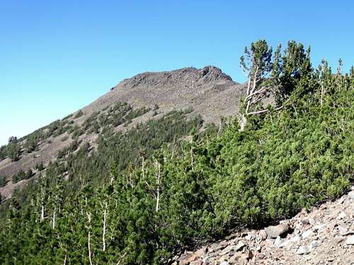 Church Peak from the Mount Rose Trail