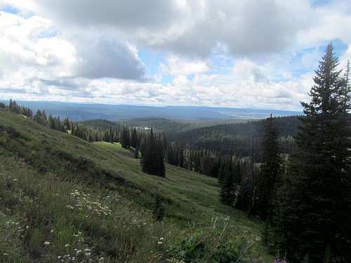 Yellowstone landscape