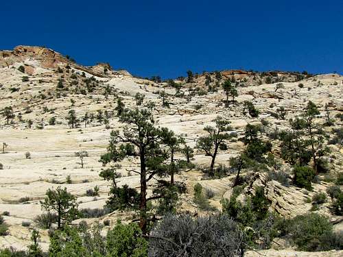 descent to Escalante