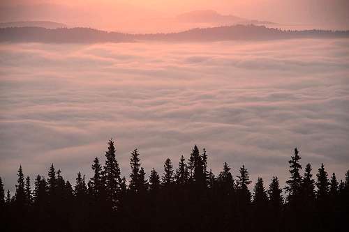 Morning carpet of clouds over Bucovina