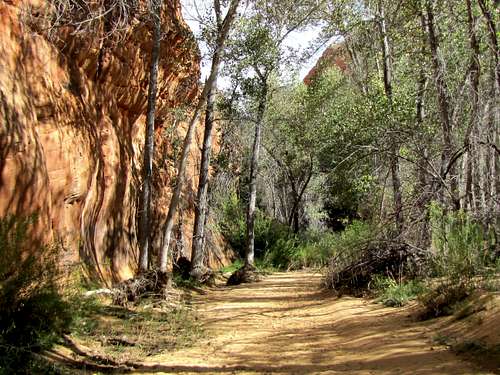 The narrow Part of Phipps Canyon