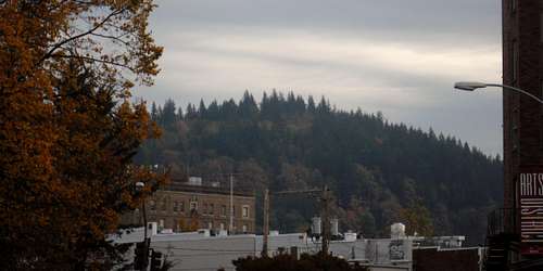 Sehome Hill from downtown Bellingham