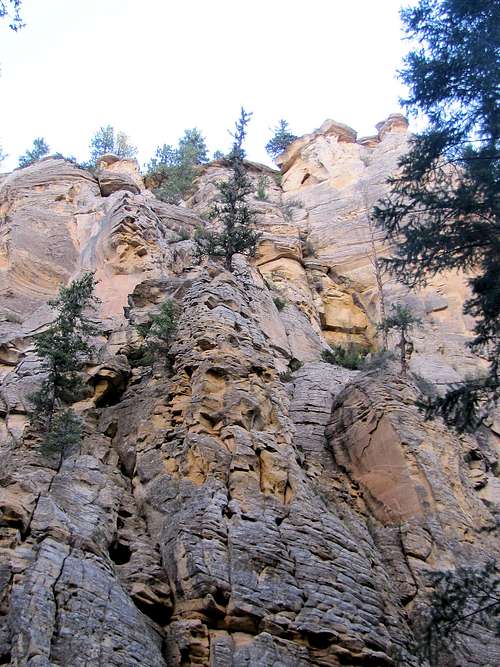 Upper Canyon