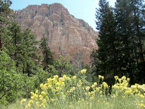 Lower canyon