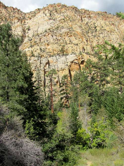Lower canyon